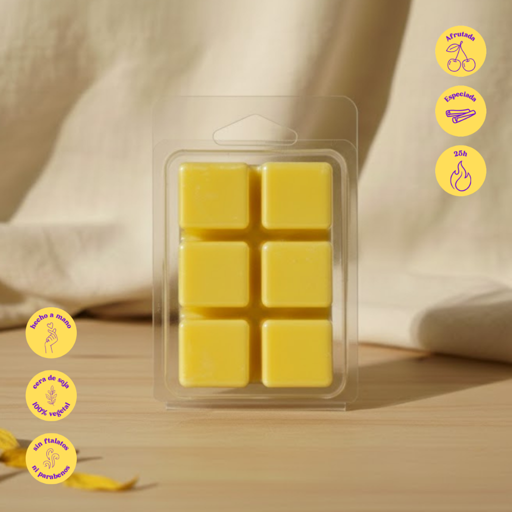 Wax melt musical - Canela y Naranja