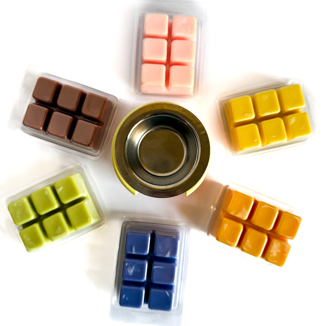 Pack wax melts musicales