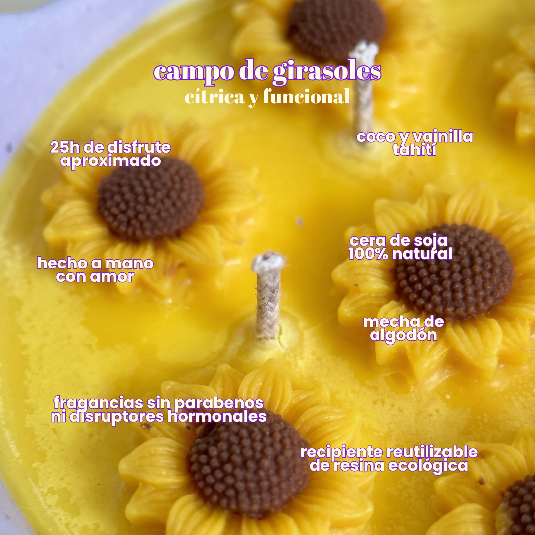 Pack wax melts y velas verano - Rebajas